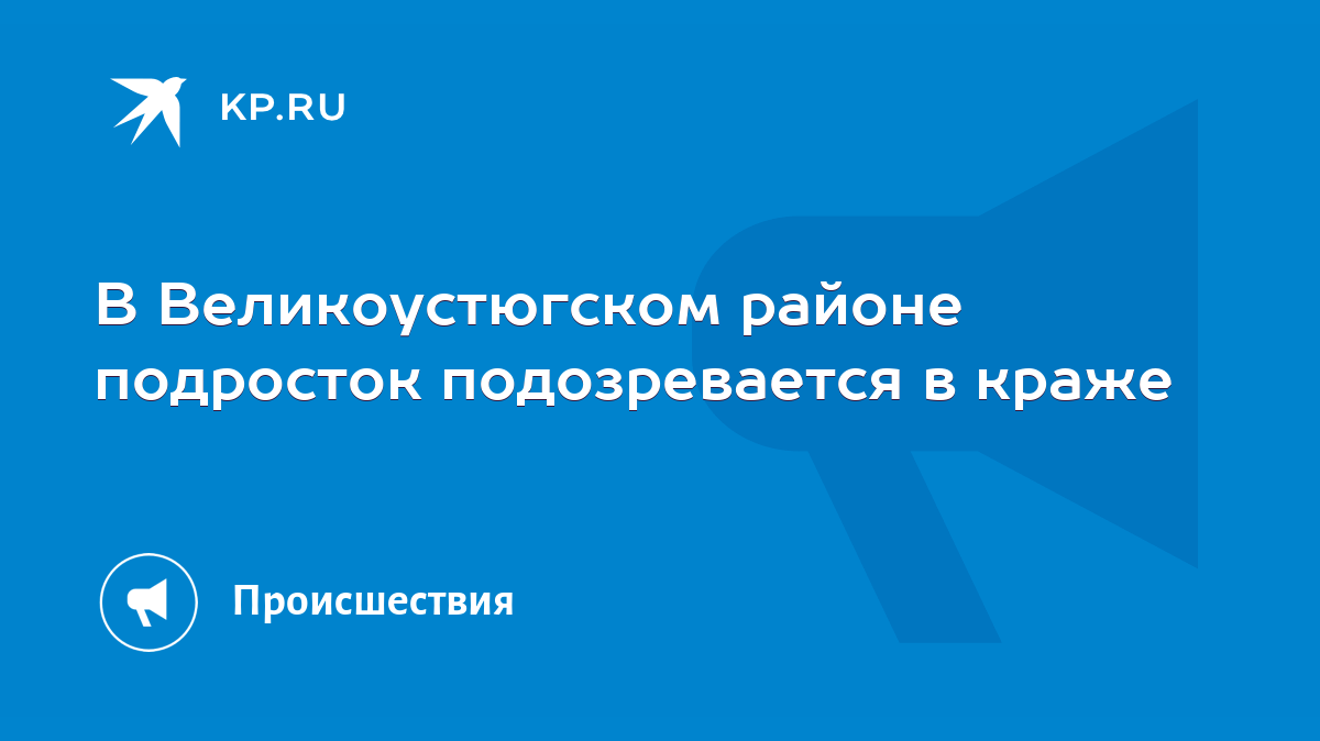 В Великоустюгском районе подросток подозревается в краже - KP.RU