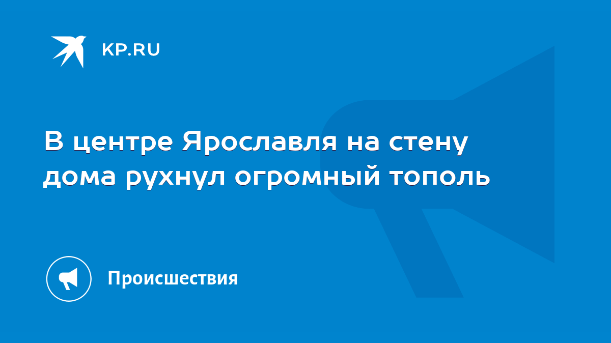 В центре Ярославля на стену дома рухнул огромный тополь - KP.RU