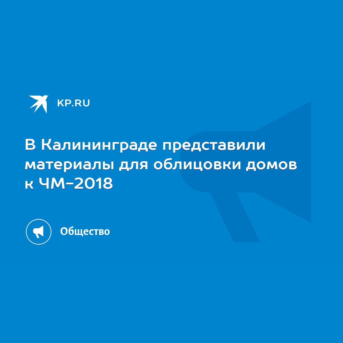 В Калининграде представили материалы для облицовки домов к ЧМ-2018 - KP.RU