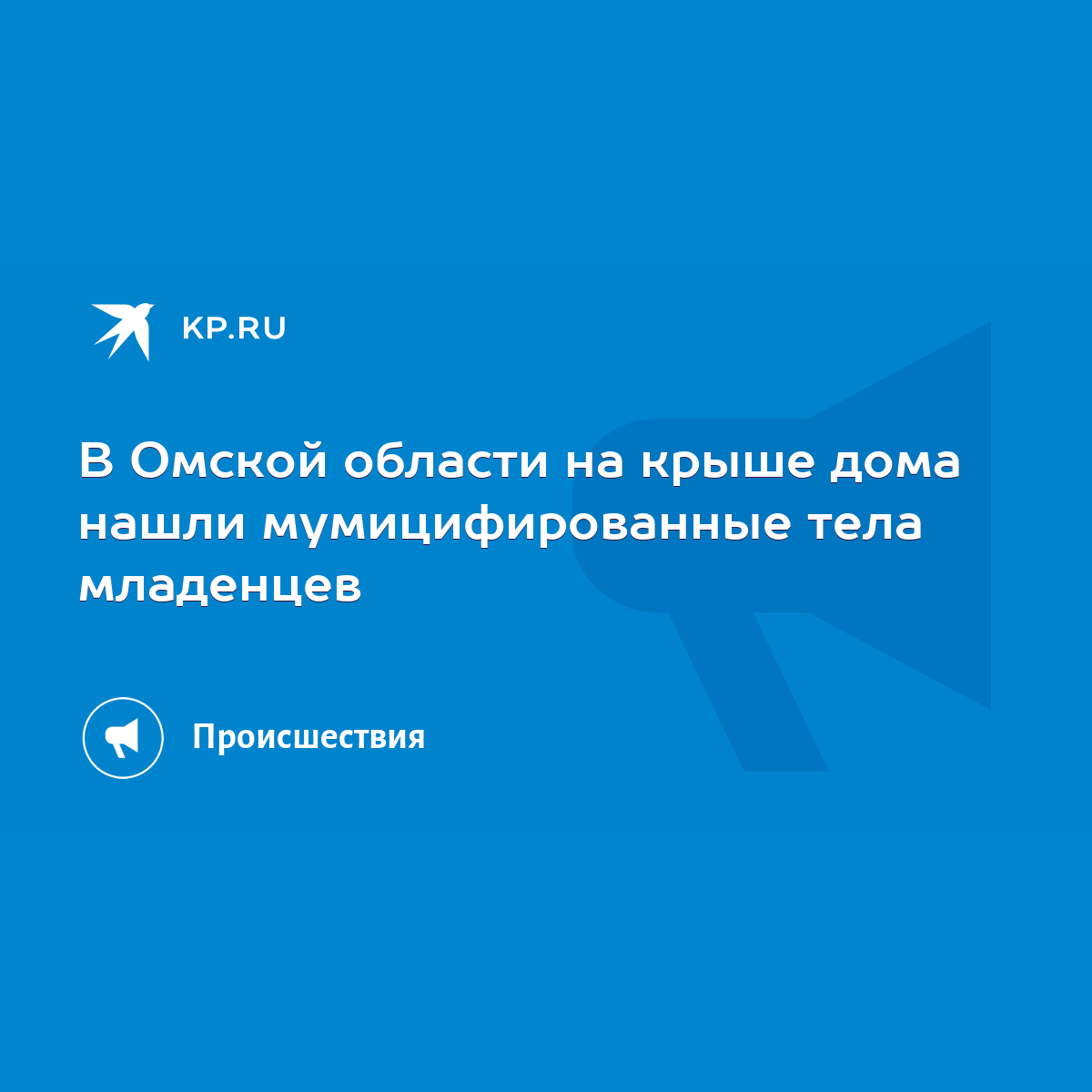 В Омской области на крыше дома нашли мумицифированные тела младенцев - KP.RU