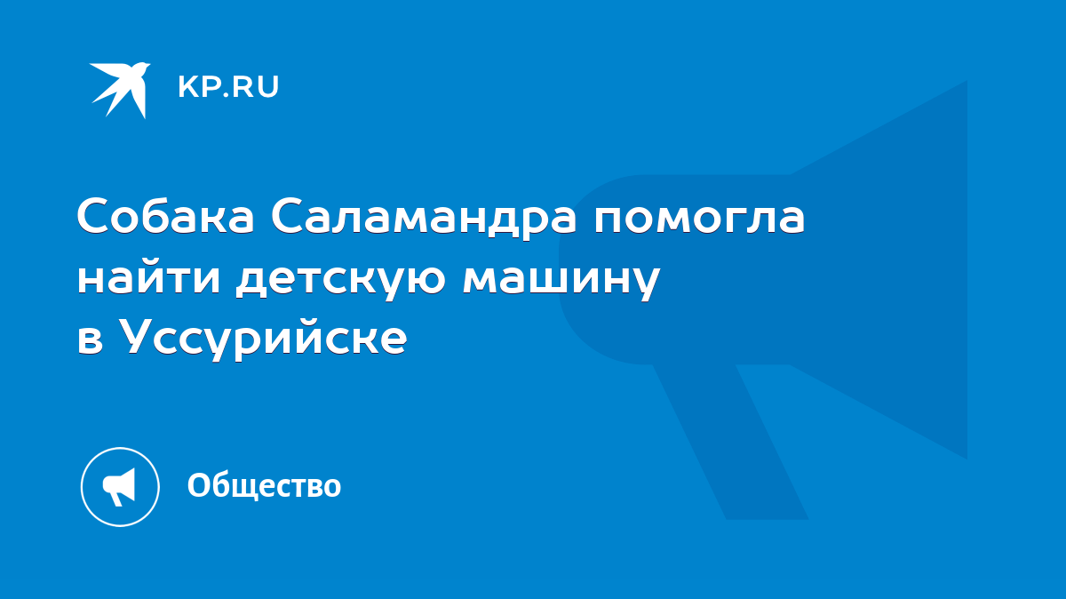 Собака Саламандра помогла найти детскую машину в Уссурийске - KP.RU