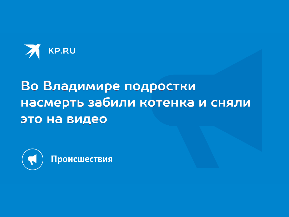 Во Владимире подростки насмерть забили котенка и сняли это на видео - KP.RU