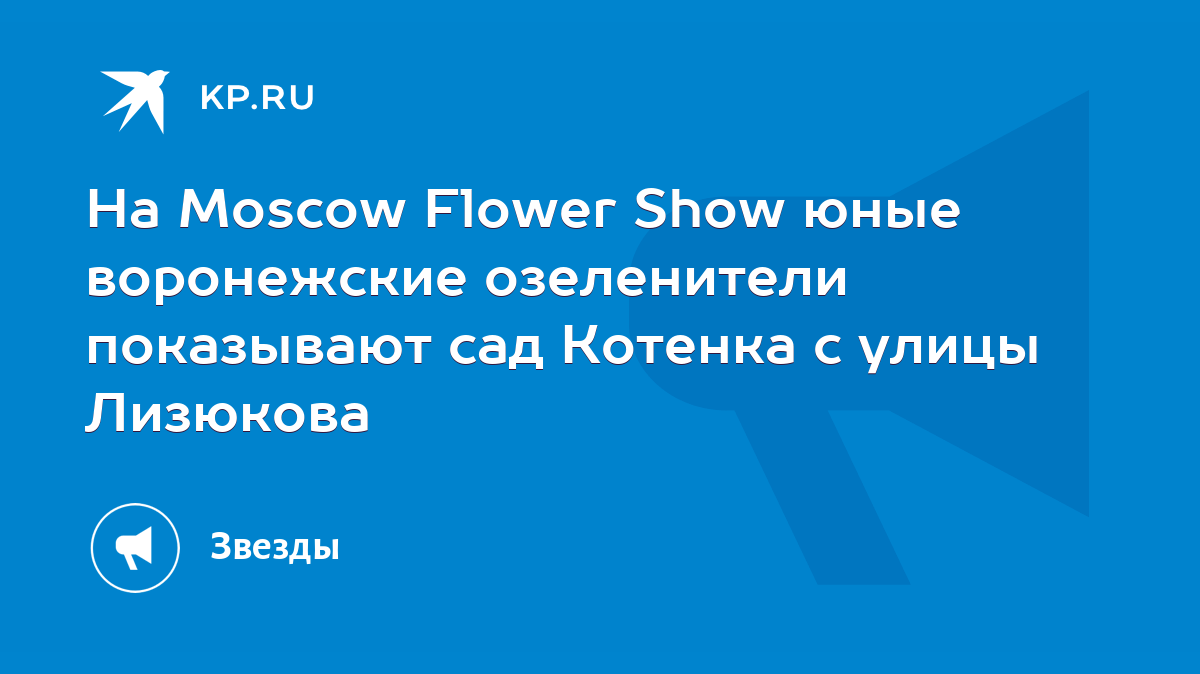 На Moscow Flower Show юные воронежские озеленители показывают сад Котенка с  улицы Лизюкова - KP.RU