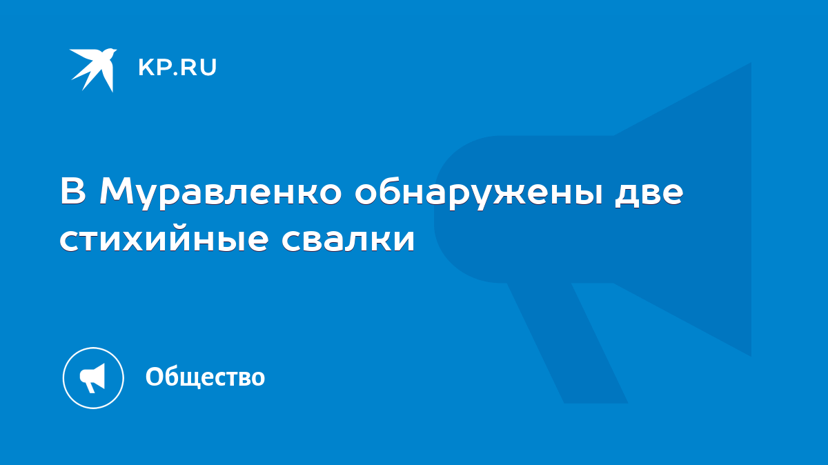 В Муравленко обнаружены две стихийные свалки - KP.RU