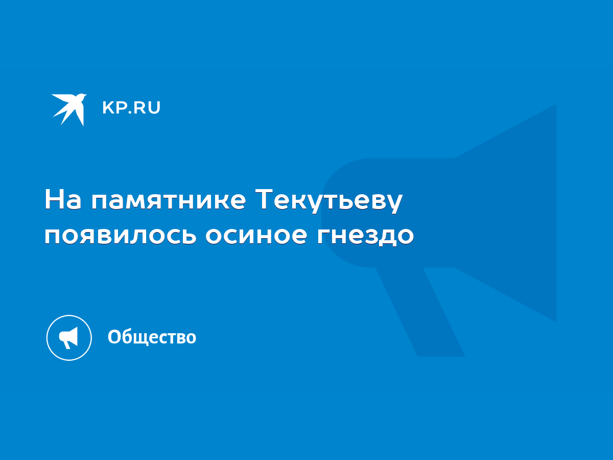 На памятнике Текутьеву появилось осиное гнездо - KP.RU