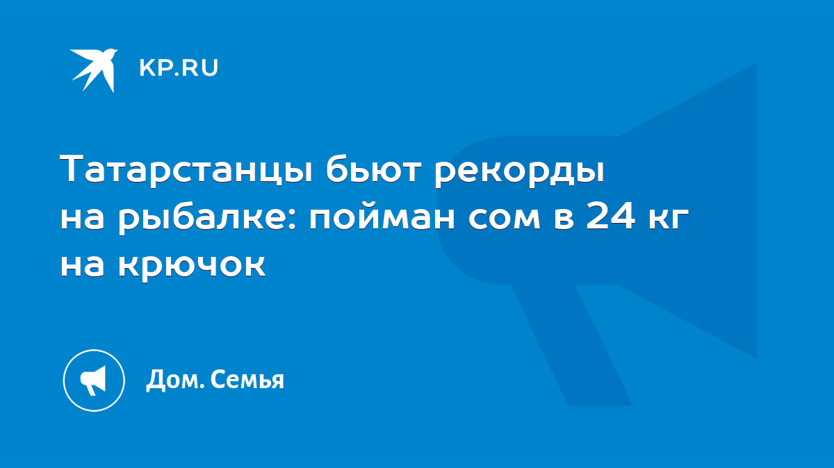 Татарстанцы бьют рекорды на рыбалке: пойман сом в 24 кг на крючок - KP.RU