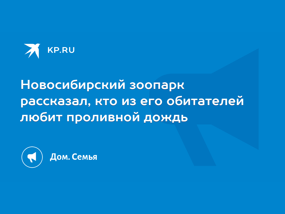 Новосибирский зоопарк рассказал, кто из его обитателей любит проливной дождь  - KP.RU