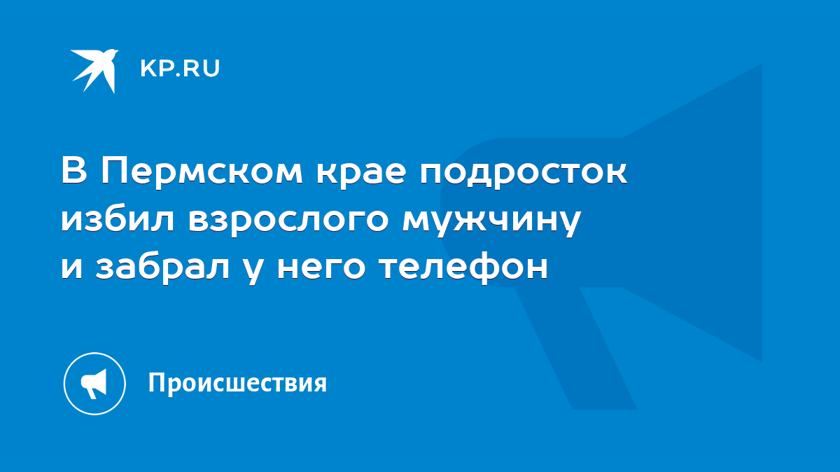 В Пермском крае подросток избил взрослого мужчину и забрал у него телефон -  KP.RU