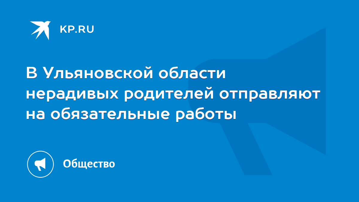 В Ульяновской области нерадивых родителей отправляют на обязательные работы  - KP.RU