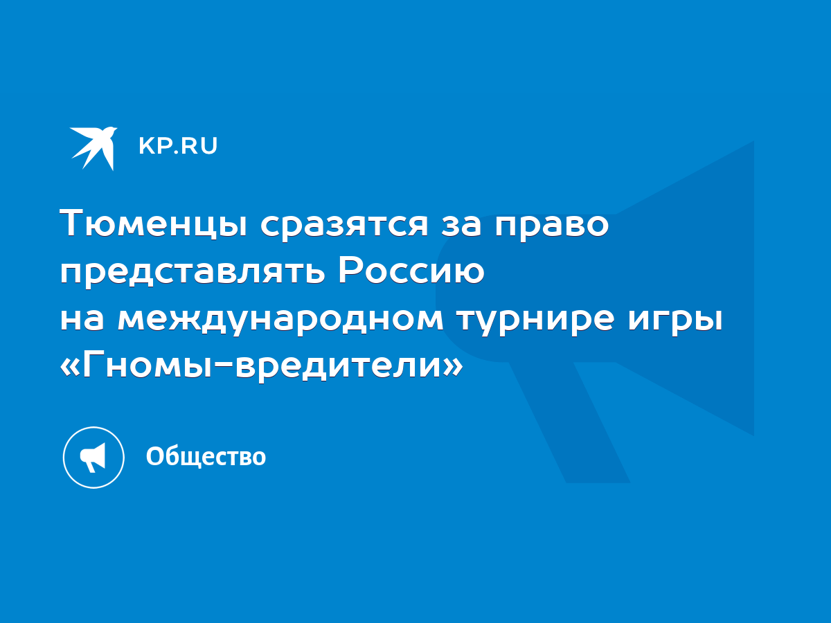 Тюменцы сразятся за право представлять Россию на международном турнире игры  «Гномы-вредители» - KP.RU