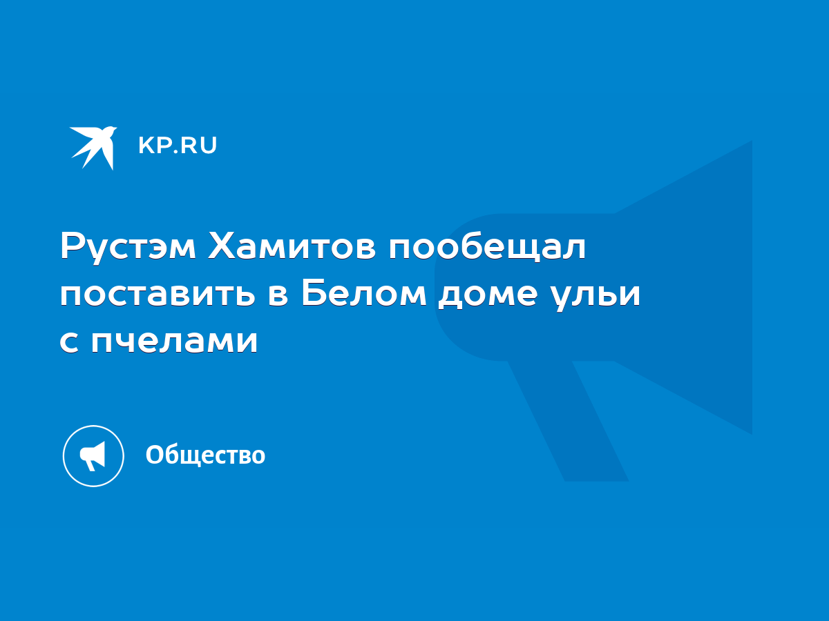 Рустэм Хамитов пообещал поставить в Белом доме ульи с пчелами - KP.RU