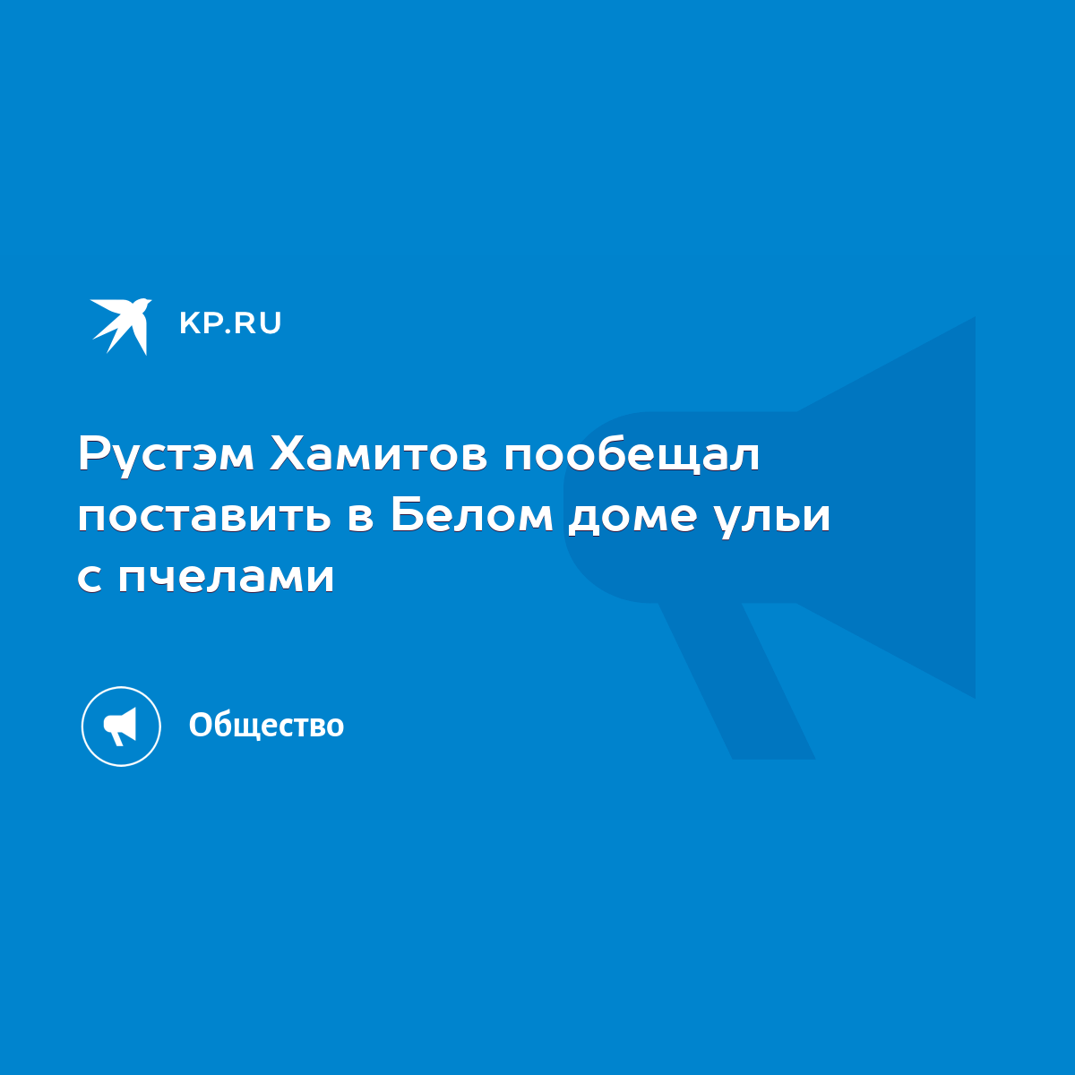 Рустэм Хамитов пообещал поставить в Белом доме ульи с пчелами - KP.RU