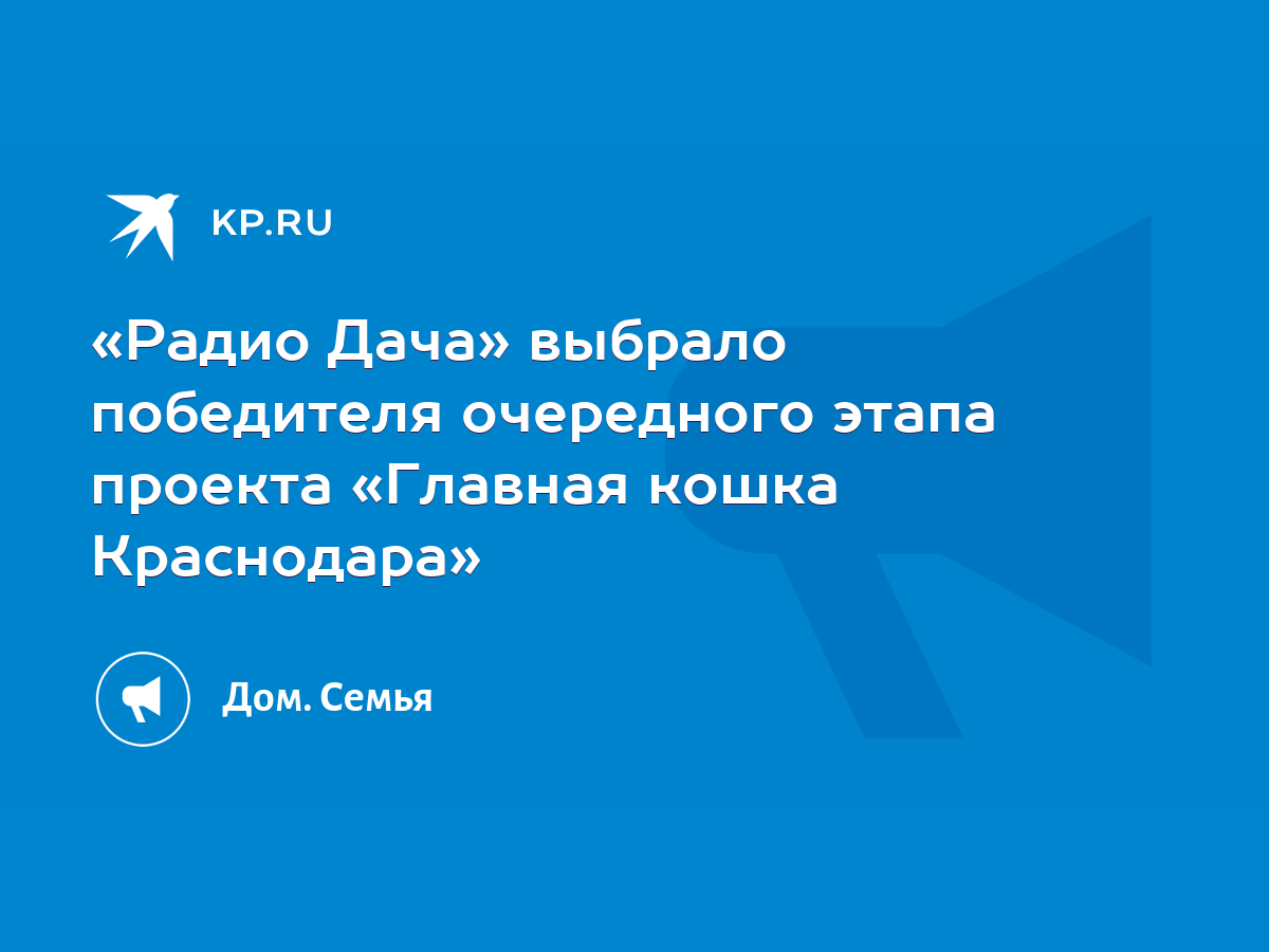 Радио Дача» выбрало победителя очередного этапа проекта «Главная кошка  Краснодара» - KP.RU