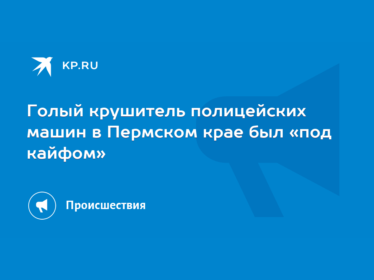 Голый крушитель полицейских машин в Пермском крае был «под кайфом» - KP.RU