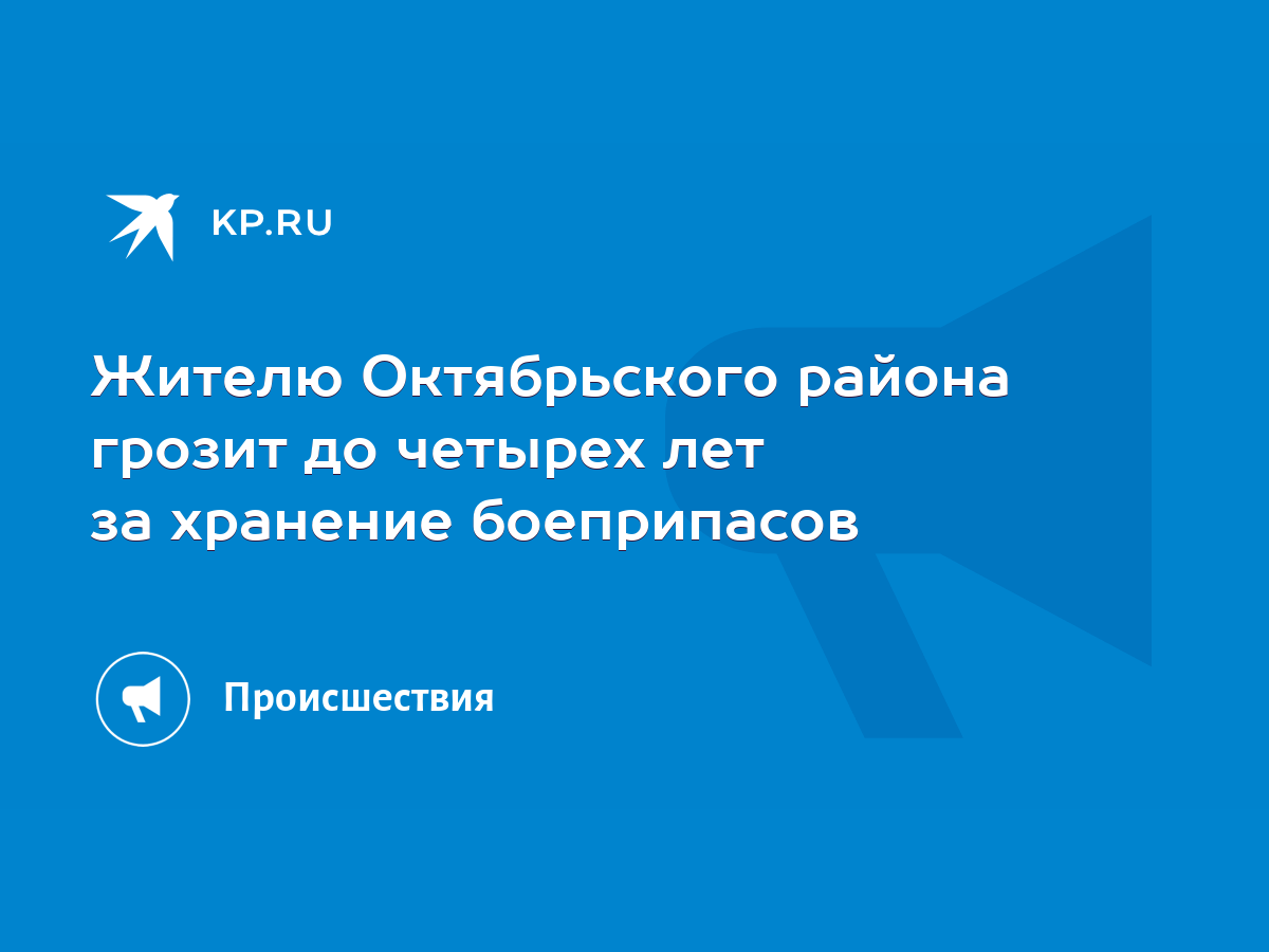 Жителю Октябрьского района грозит до четырех лет за хранение боеприпасов -  KP.RU