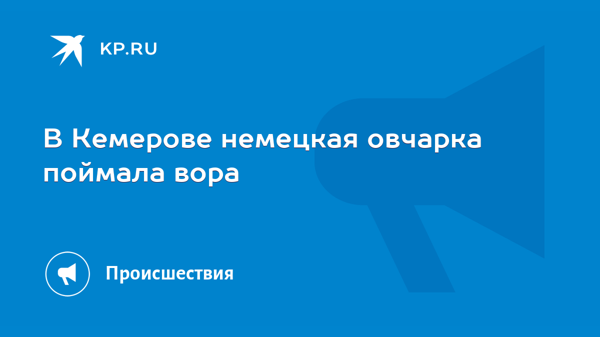 В Кемерове немецкая овчарка поймала вора - KP.RU