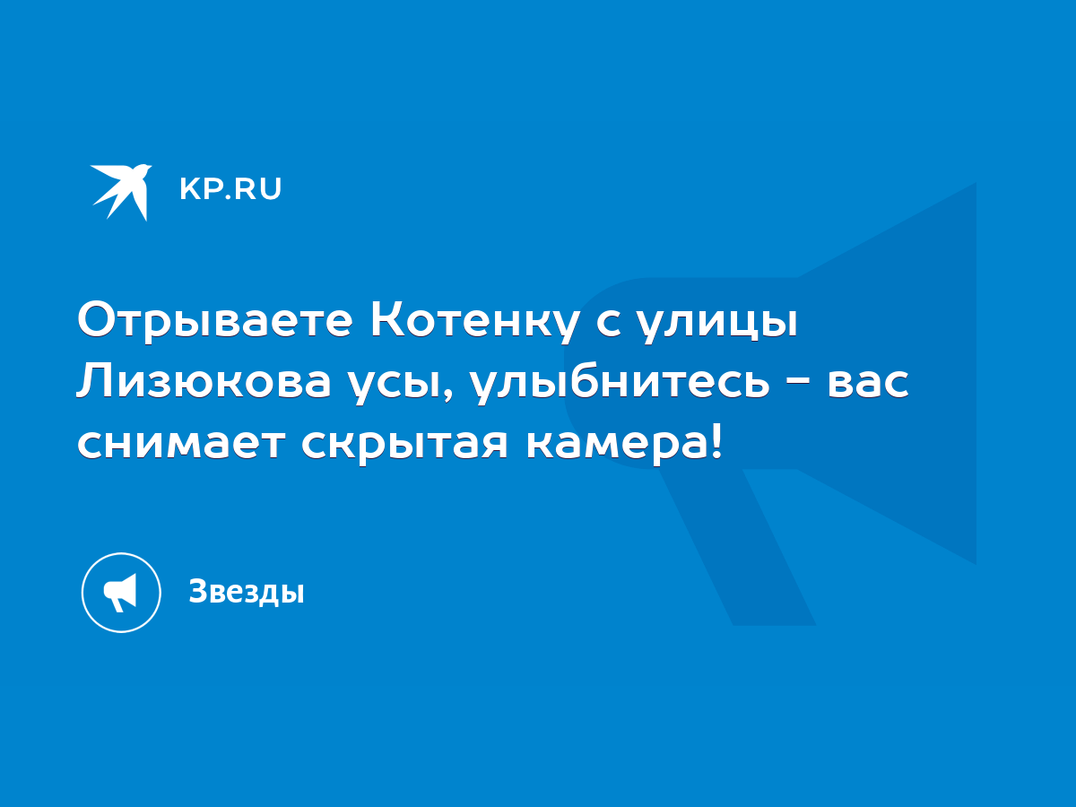 Смотреть онлайн веб-камеры, список камер, ТОП-50