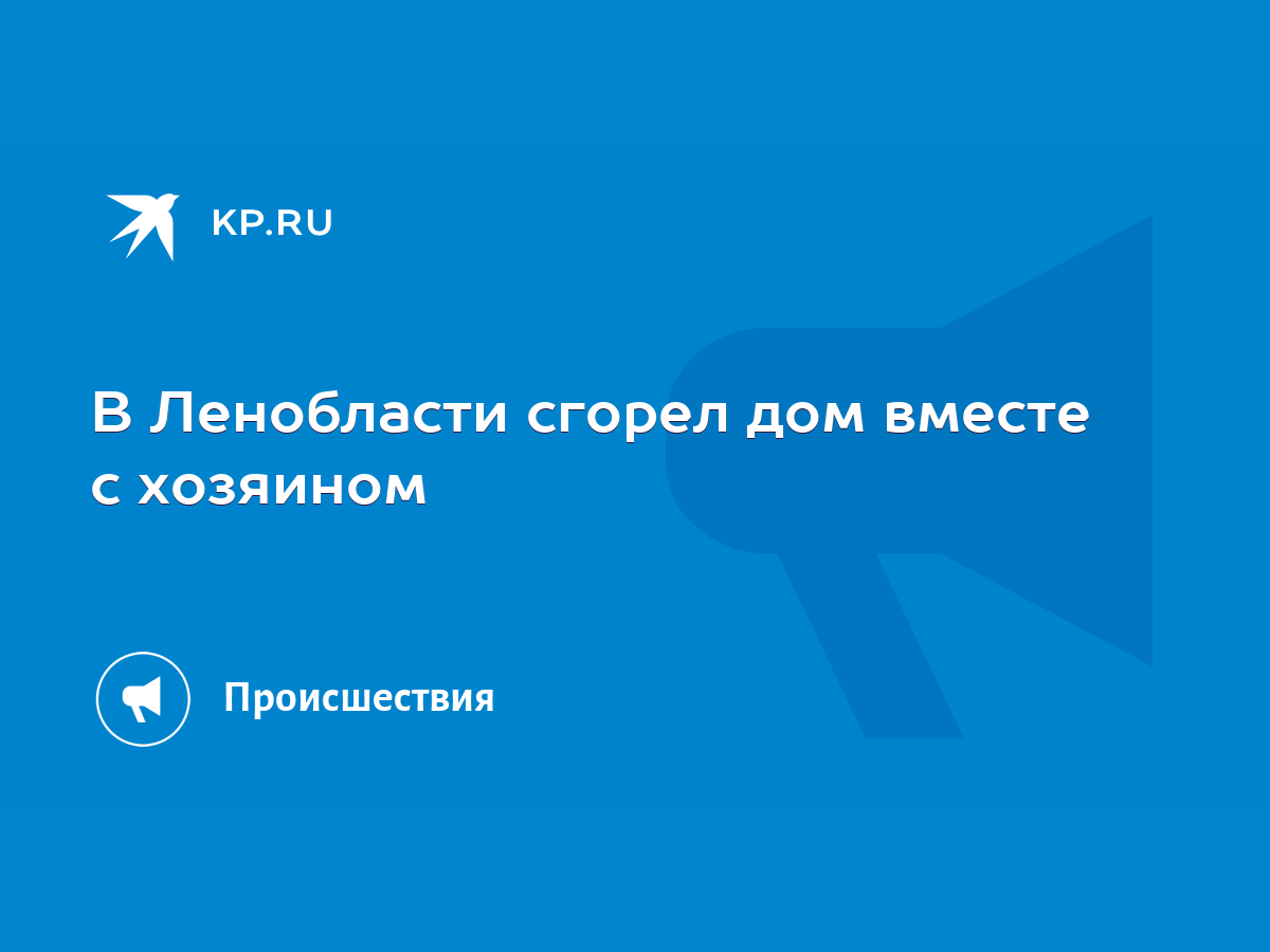 В Ленобласти сгорел дом вместе с хозяином - KP.RU