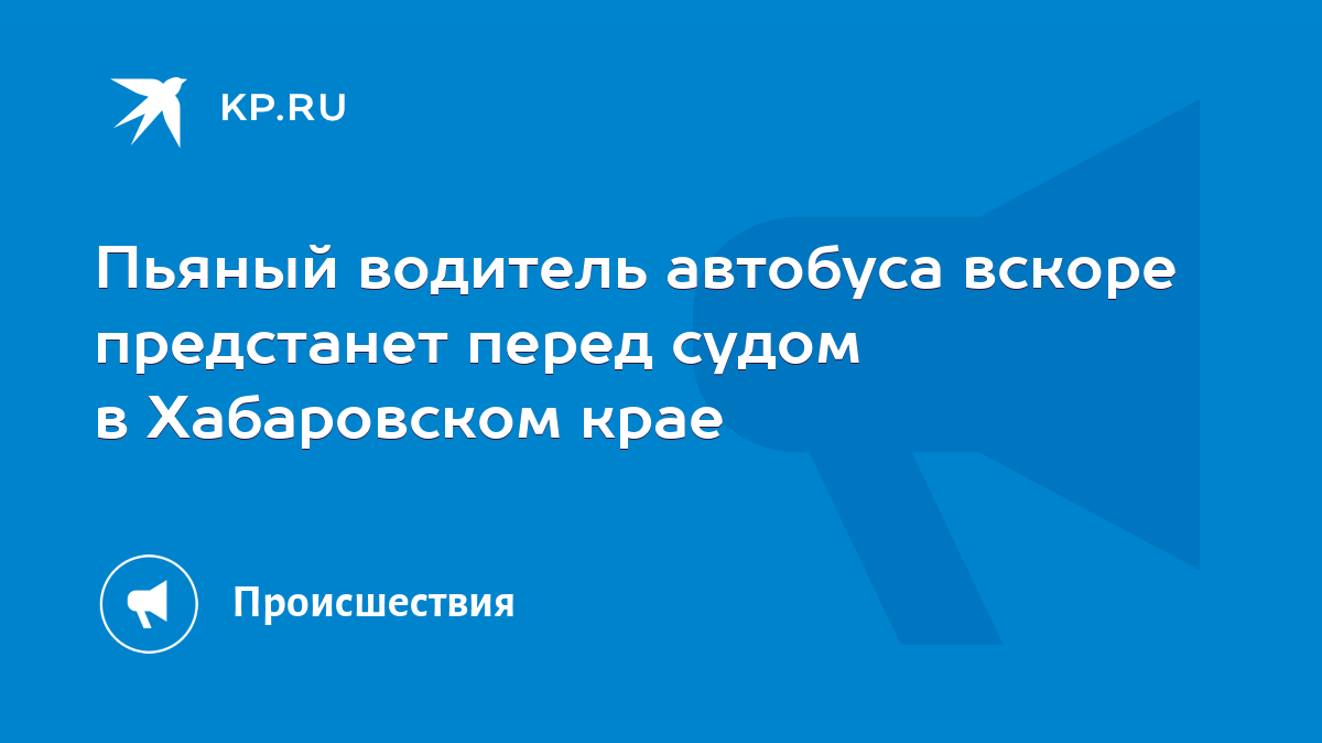 Пьяный водитель автобуса вскоре предстанет перед судом в Хабаровском крае -  KP.RU