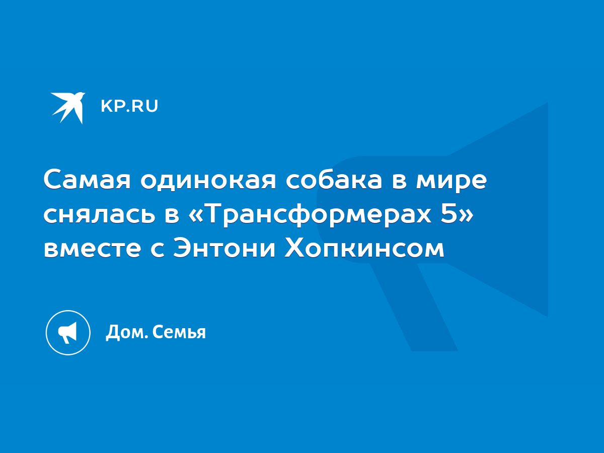 Самая одинокая собака в мире снялась в «Трансформерах 5» вместе с Энтони  Хопкинсом - KP.RU