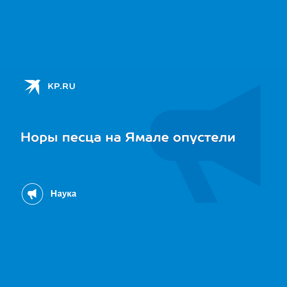 Норы песца на Ямале опустели - KP.RU