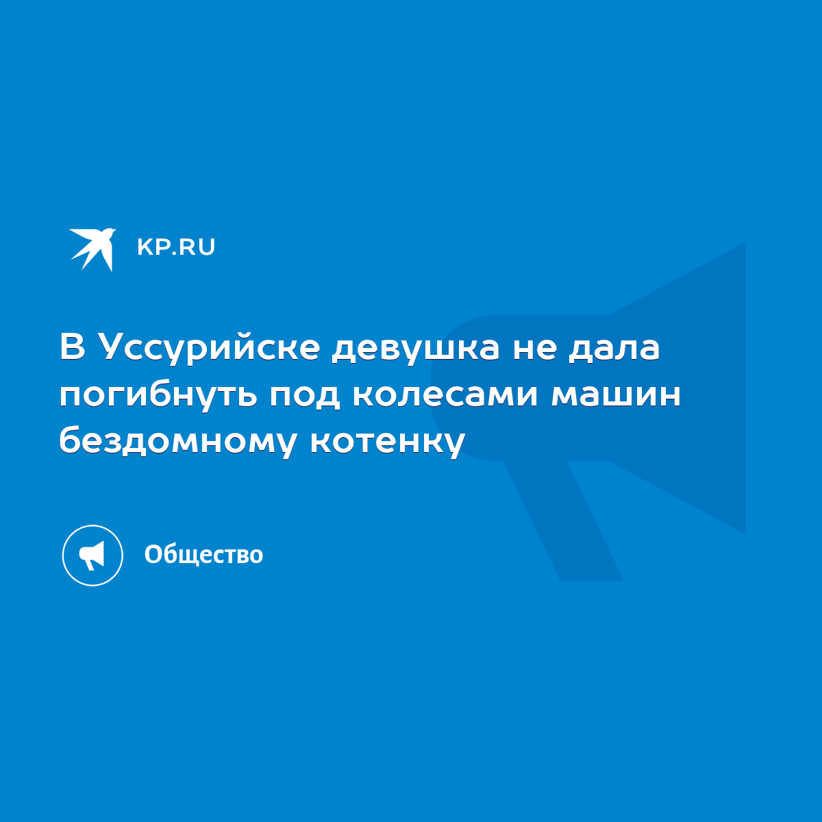 В Уссурийске девушка не дала погибнуть под колесами машин бездомному  котенку - KP.RU