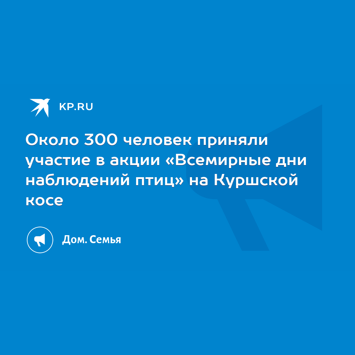 Около 300 человек приняли участие в акции «Всемирные дни наблюдений птиц»  на Куршской косе - KP.RU