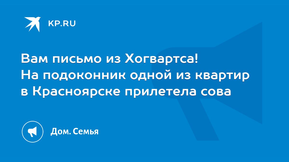 Вам письмо из Хогвартса! На подоконник одной из квартир в Красноярске  прилетела сова - KP.RU