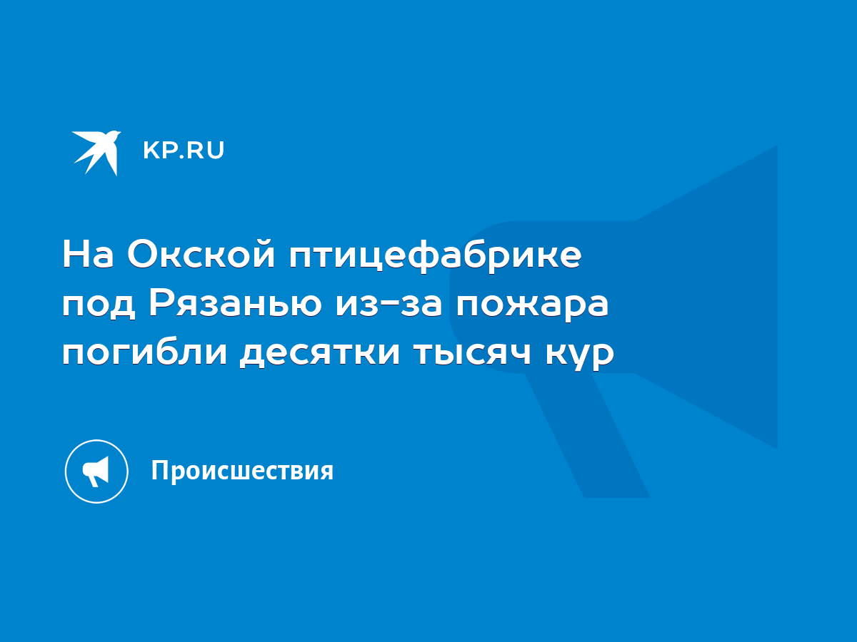 На Окской птицефабрике под Рязанью из-за пожара погибли десятки тысяч кур -  KP.RU