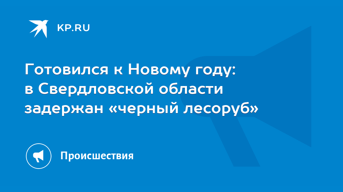 Готовился к Новому году: в Свердловской области задержан «черный лесоруб» -  KP.RU