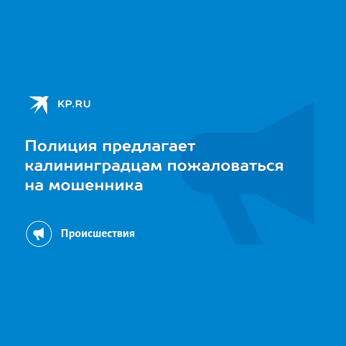 Полиция предлагает калининградцам пожаловаться на мошенника - KP.RU