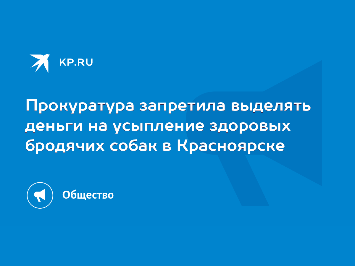 Прокуратура запретила выделять деньги на усыпление здоровых бродячих собак  в Красноярске - KP.RU