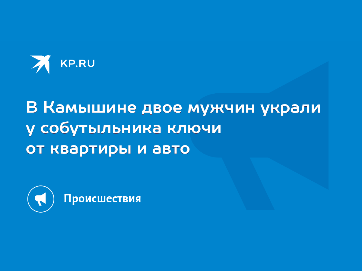 В Камышине двое мужчин украли у собутыльника ключи от квартиры и авто -  KP.RU