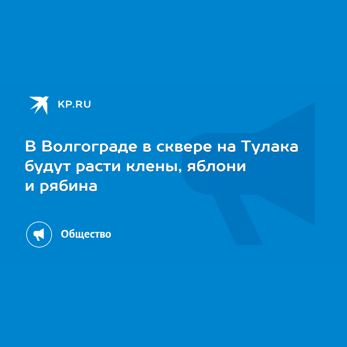 В Волгограде в сквере на Тулака будут расти клены, яблони и рябина - KP.RU