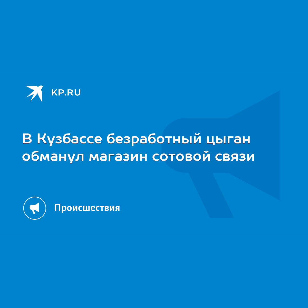 В Кузбассе безработный цыган обманул магазин сотовой связи - KP.RU