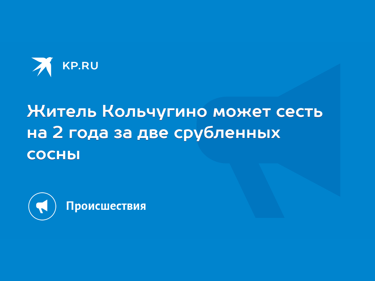 Житель Кольчугино может сесть на 2 года за две срубленных сосны - KP.RU