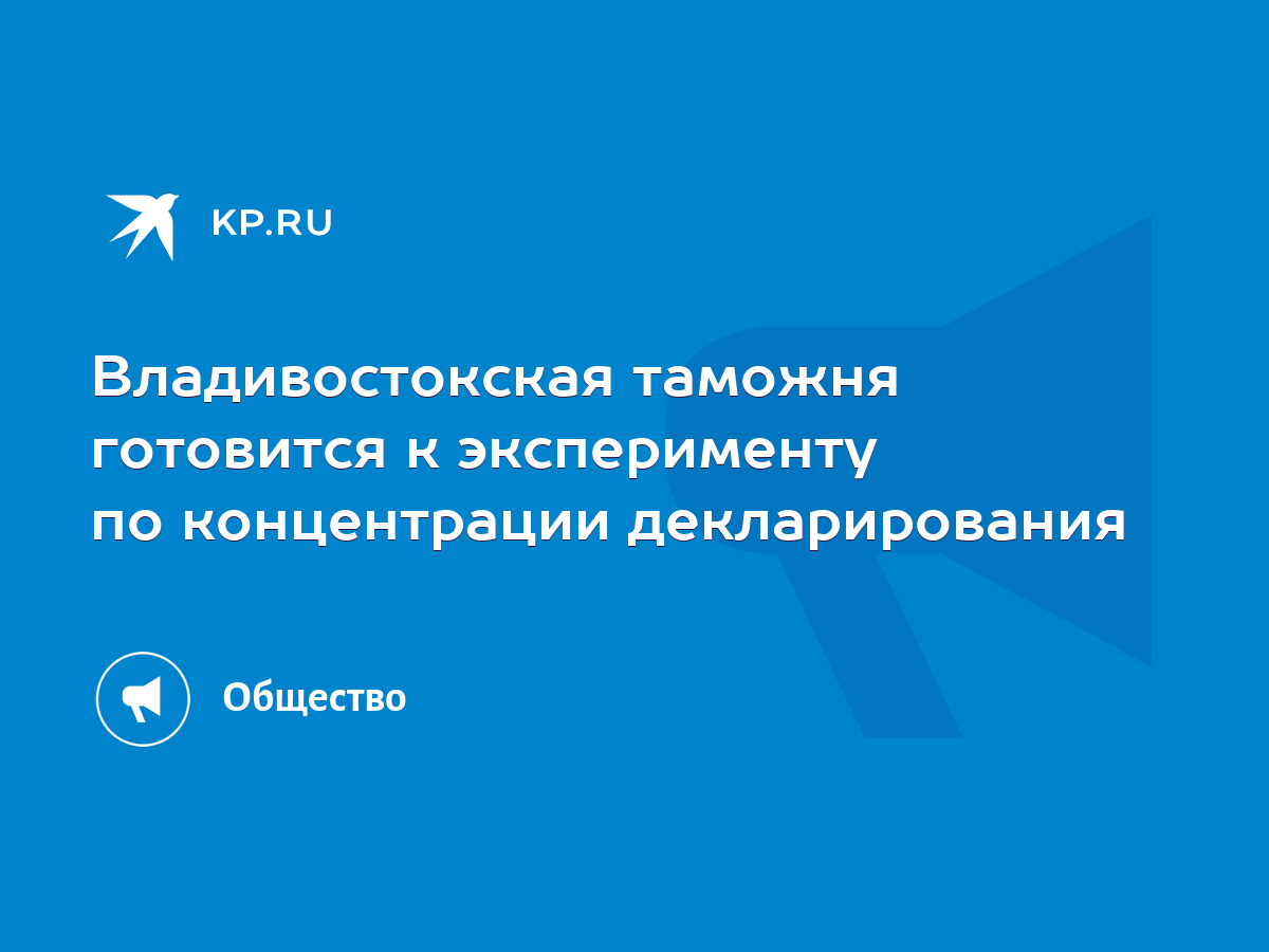 Владивостокская таможня готовится к эксперименту по концентрации  декларирования - KP.RU