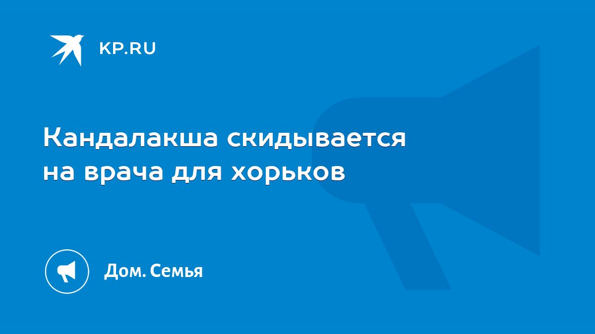 Кандалакша скидывается на врача для хорьков - KP.RU