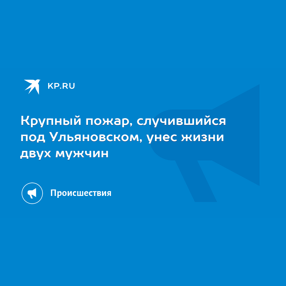 Крупный пожар, случившийся под Ульяновском, унес жизни двух мужчин - KP.RU