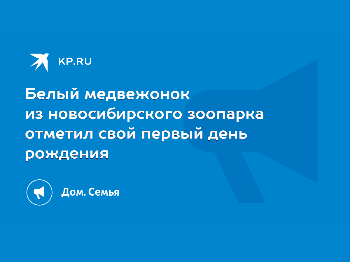 Белый медвежонок из новосибирского зоопарка отметил свой первый день  рождения - KP.RU