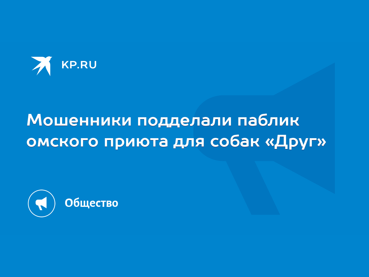 Мошенники подделали паблик омского приюта для собак «Друг» - KP.RU