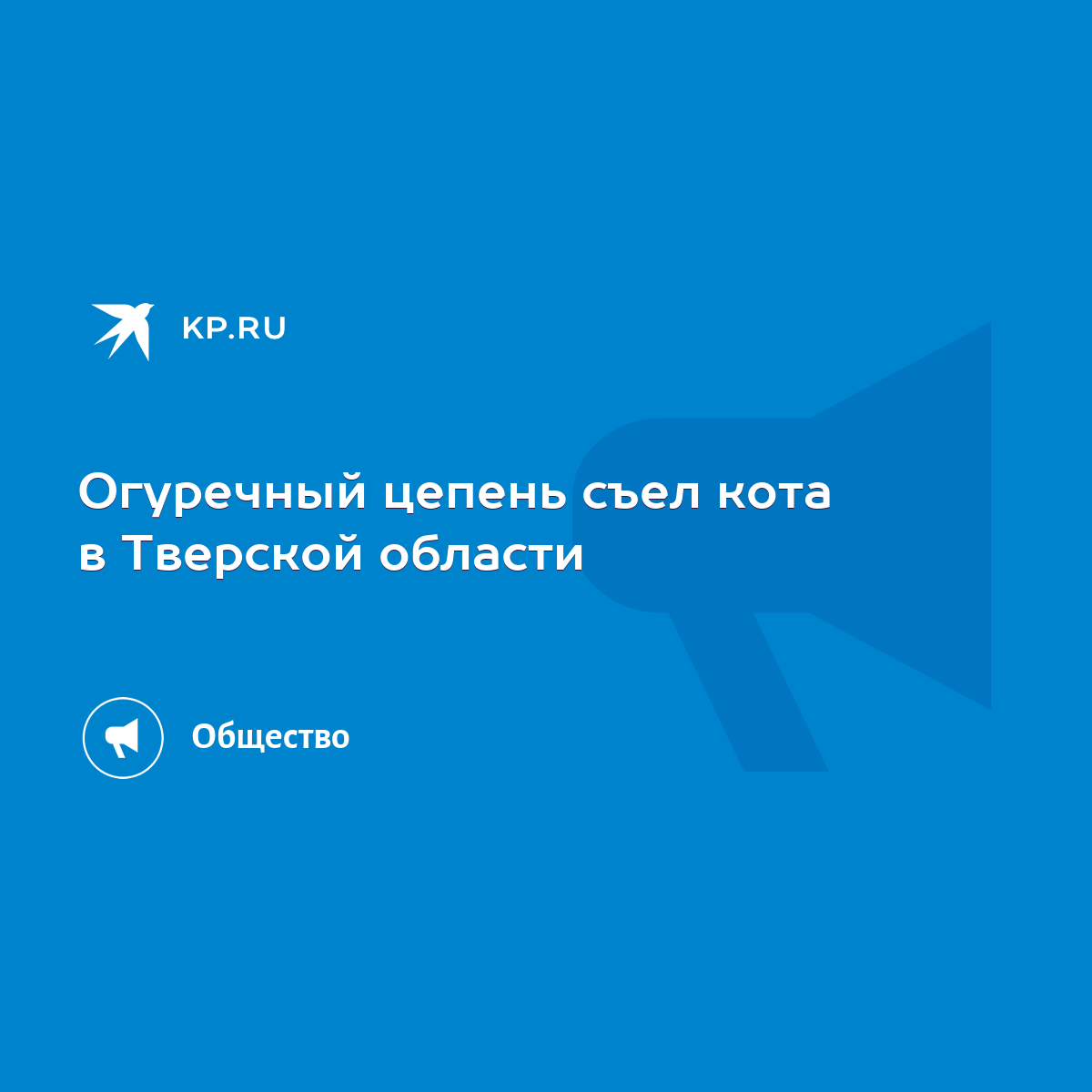 Огуречный цепень съел кота в Тверской области - KP.RU