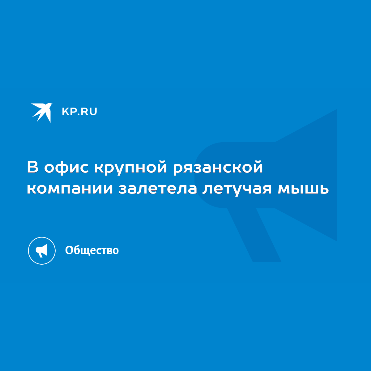 В офис крупной рязанской компании залетела летучая мышь - KP.RU