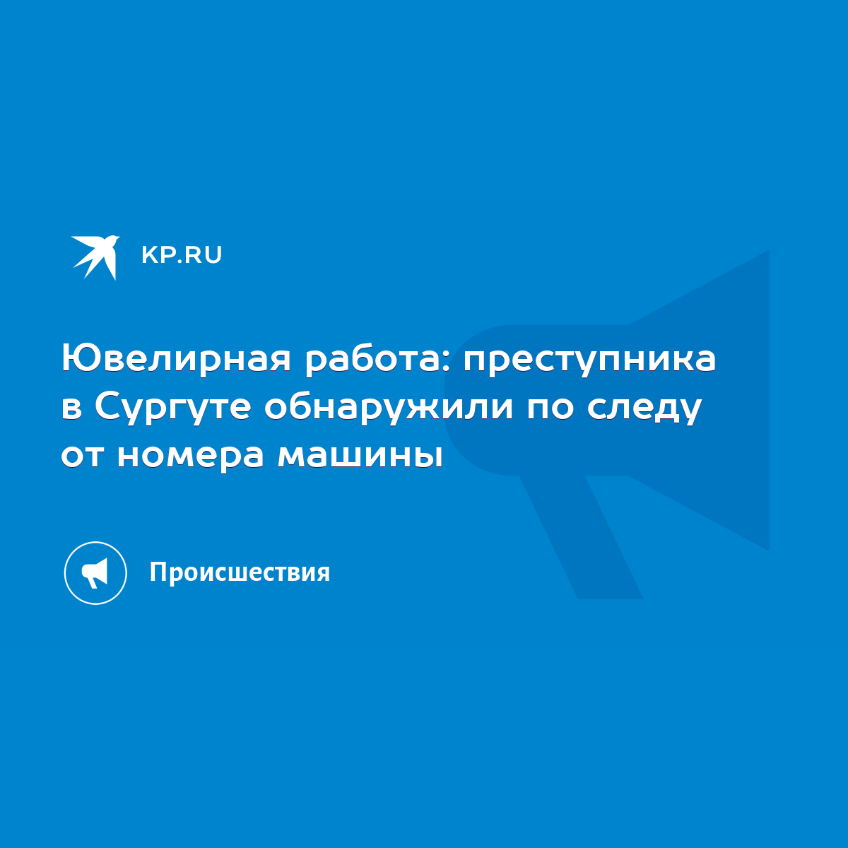 Ювелирная работа: преступника в Сургуте обнаружили по следу от номера машины  - KP.RU