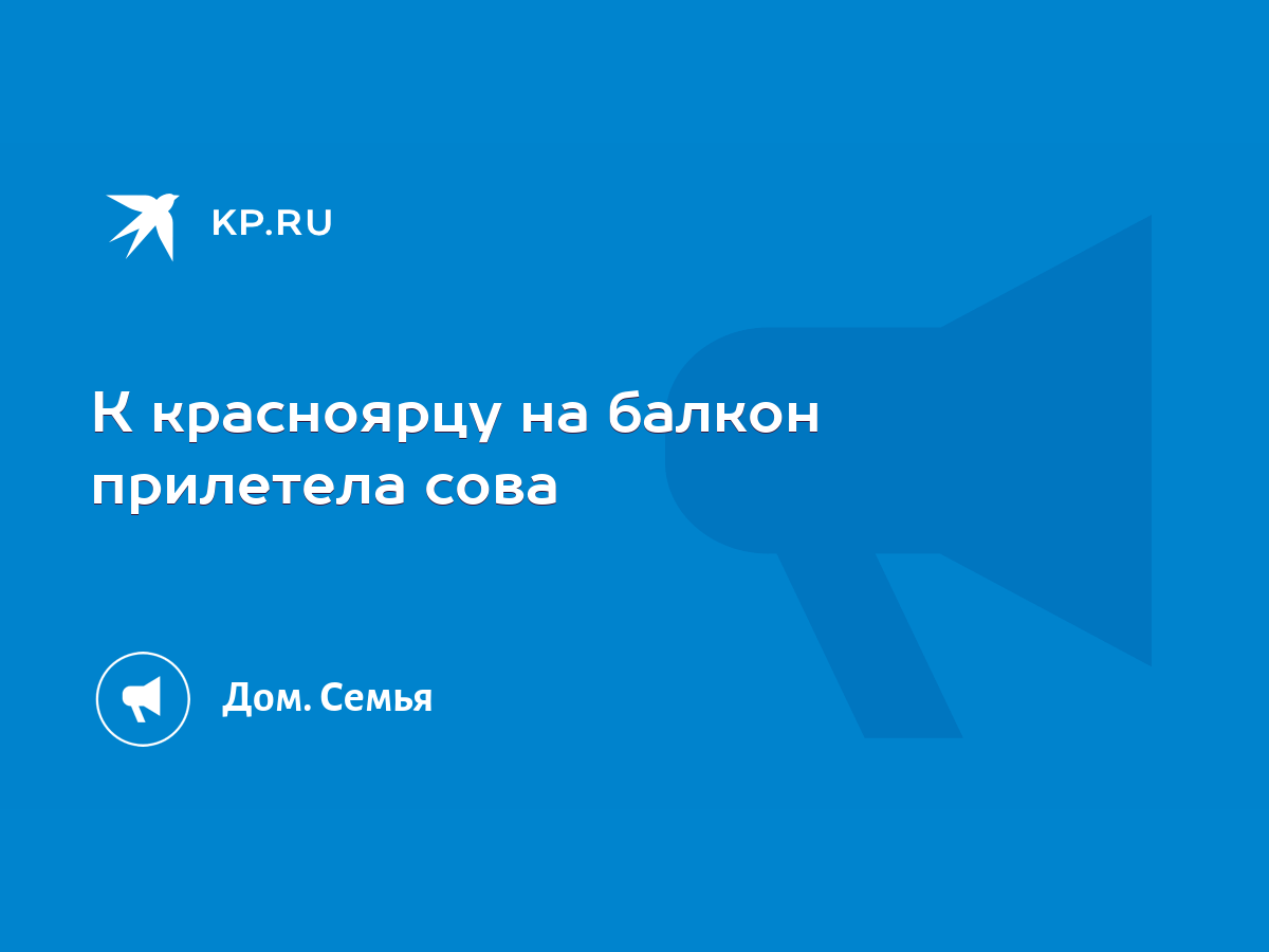 К красноярцу на балкон прилетела сова - KP.RU