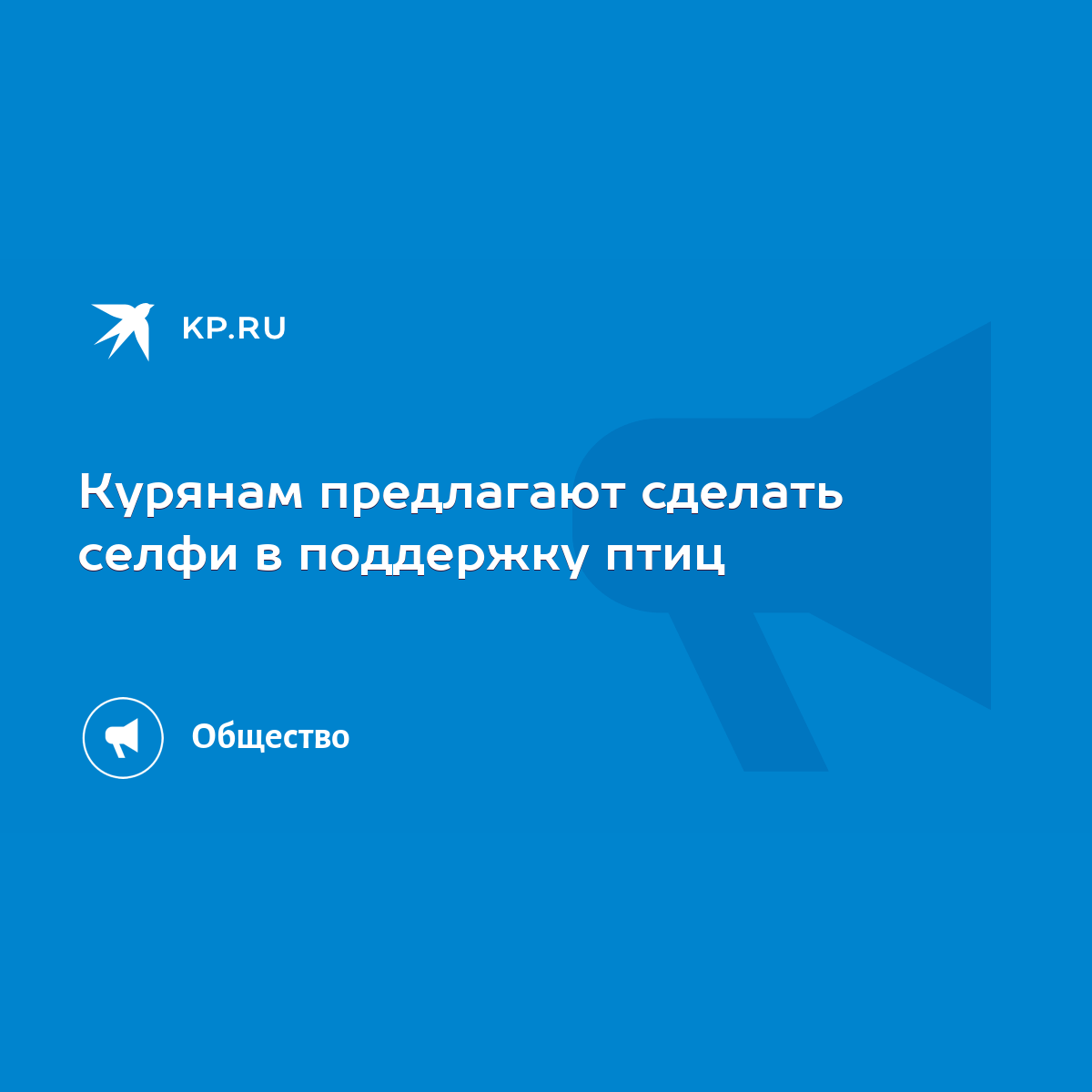 Курянам предлагают сделать селфи в поддержку птиц - KP.RU