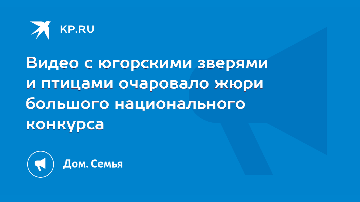 Видео с югорскими зверями и птицами очаровало жюри большого национального  конкурса - KP.RU