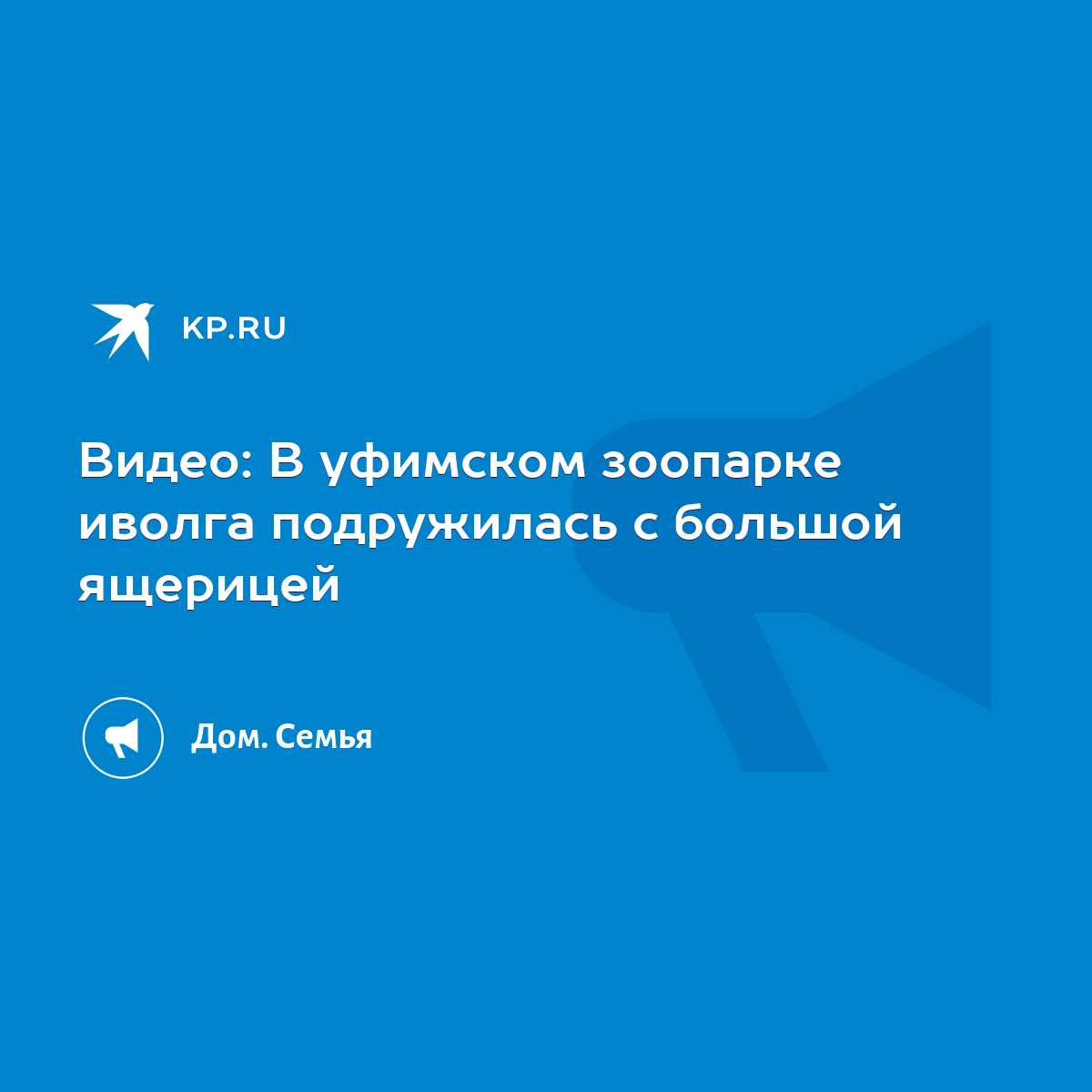 Видео: В уфимском зоопарке иволга подружилась с большой ящерицей - KP.RU