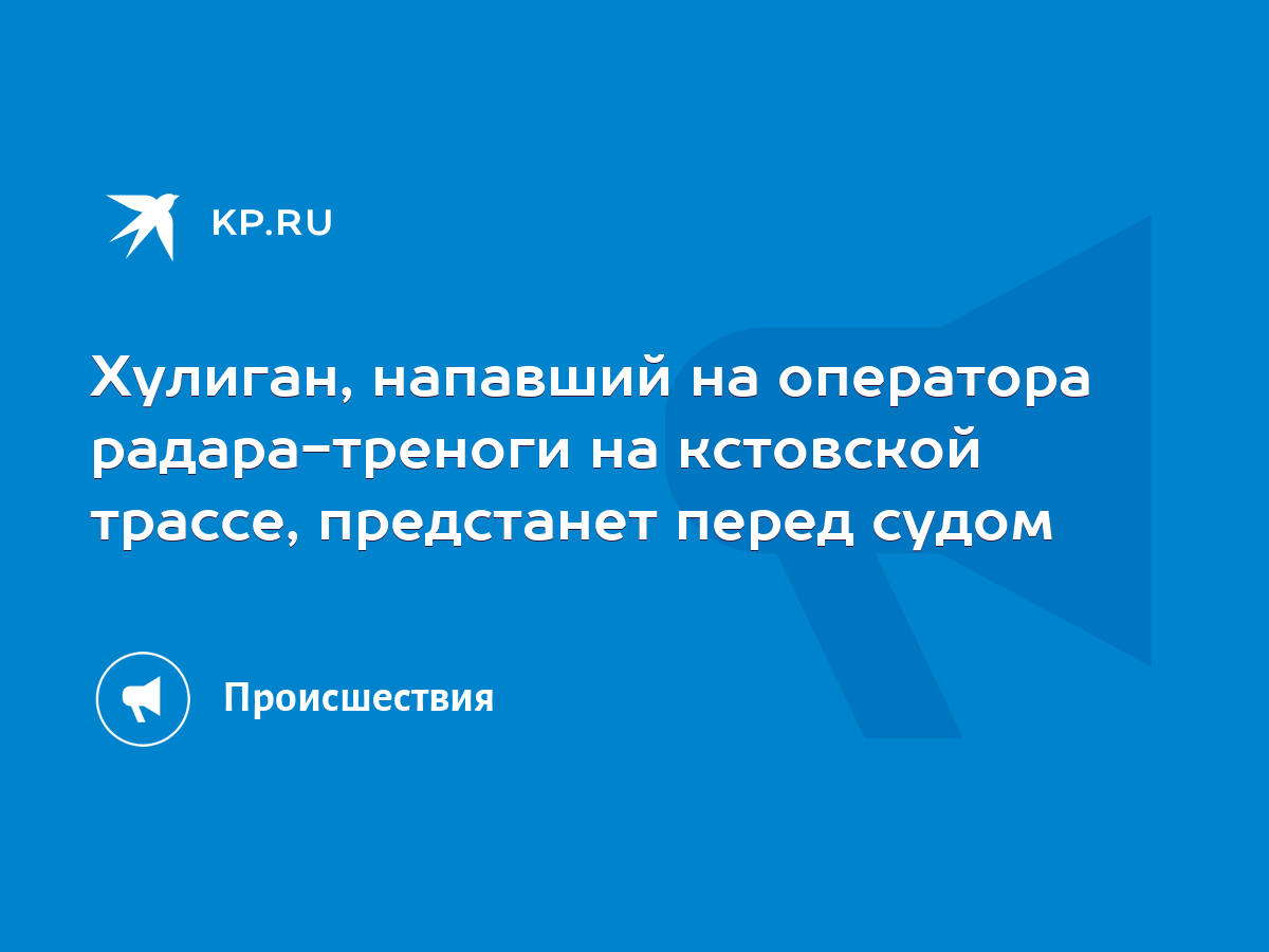 Хулиган, напавший на оператора радара-треноги на кстовской трассе,  предстанет перед судом - KP.RU