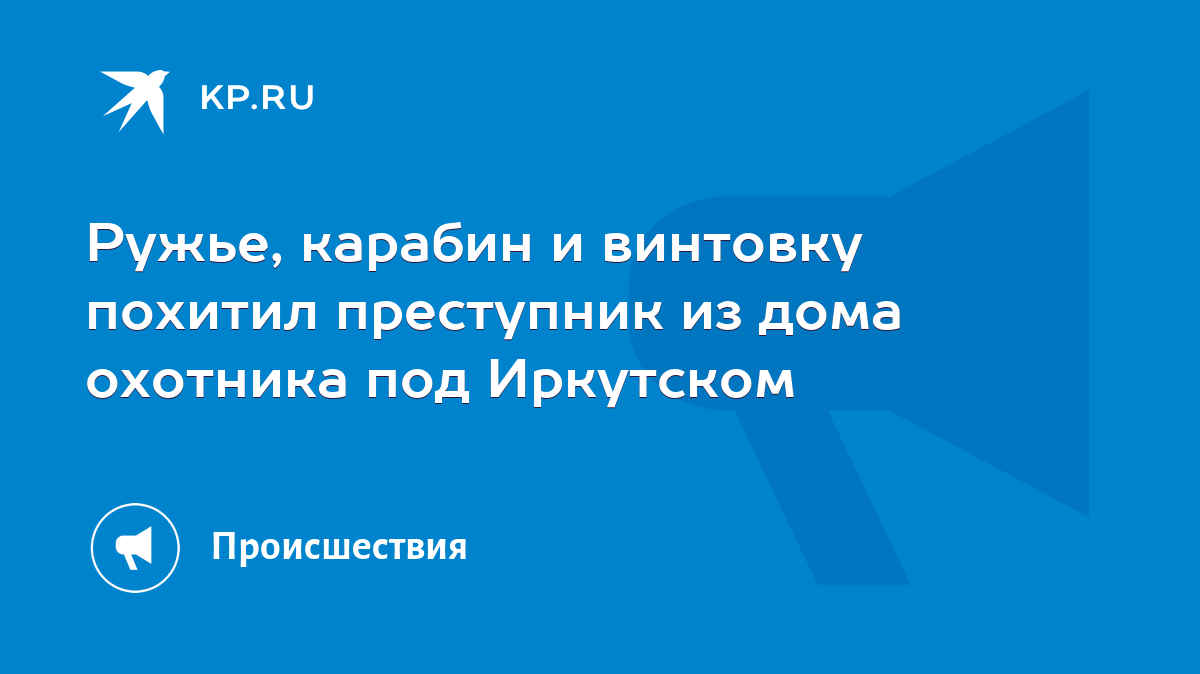 Ружье, карабин и винтовку похитил преступник из дома охотника под Иркутском  - KP.RU